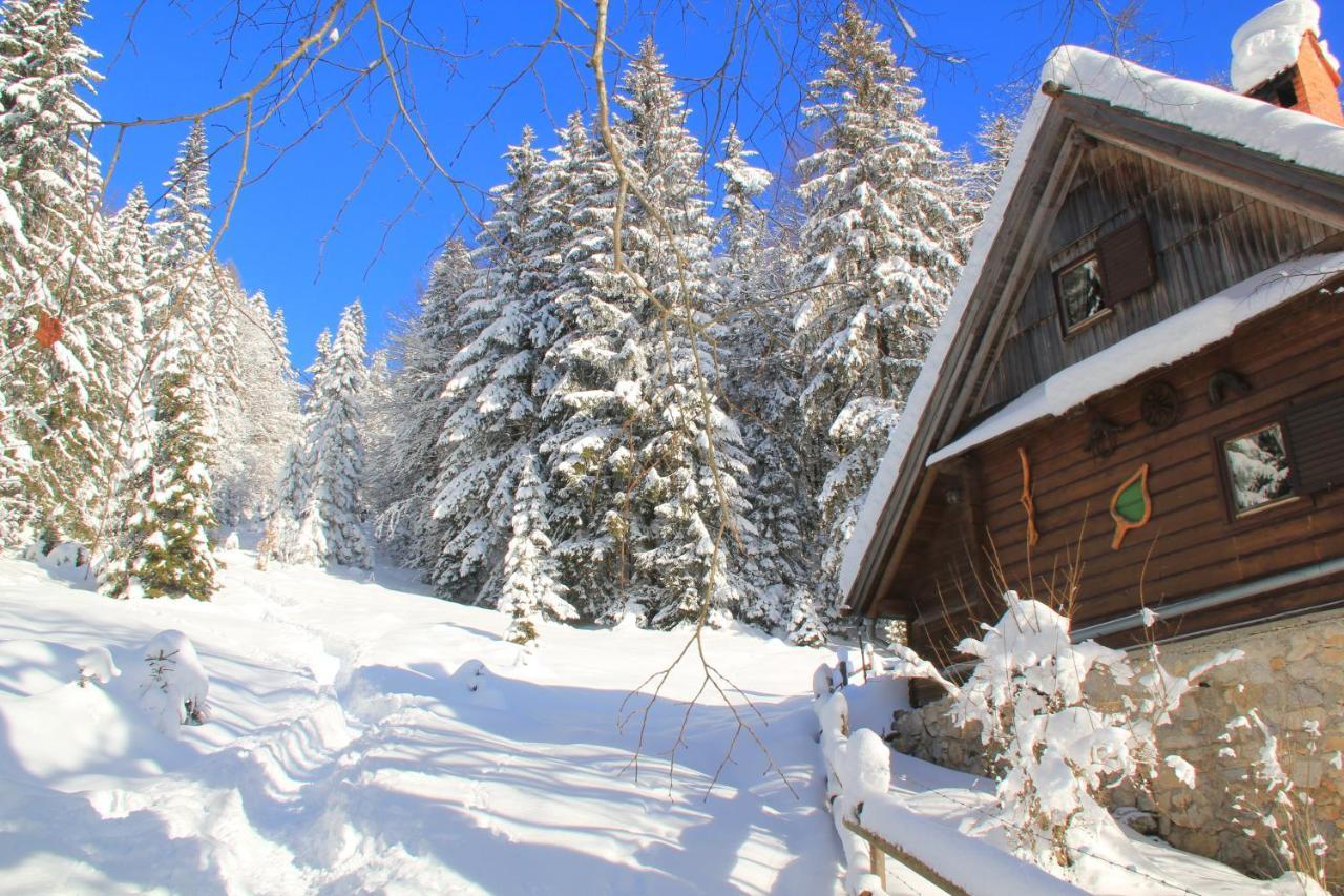 B&B Pod Skalo Kamnik Exterior photo
